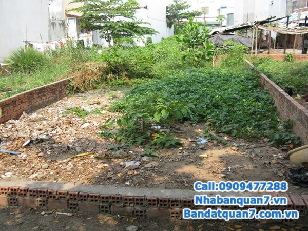 Bán đất đường số 79 phường tân quy quận 7 DTCN: 5*12m