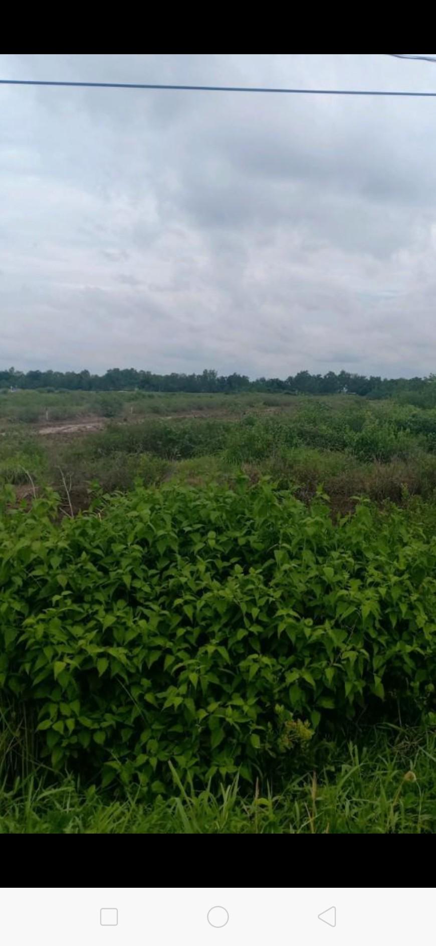 Bán đất mặt tiền đường Lý Nhơn, xã Lý Nhơn, Cần Giờ, hướng Đông Bắc, giá: 4.3 tỷ TL liên hệ:0352161628 gặp vũ