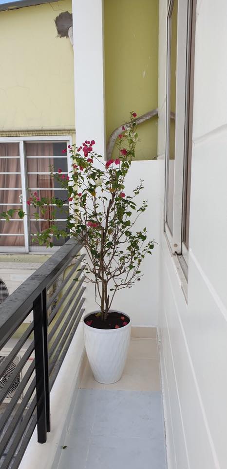 Bán nhà 2 mặt tiền Hẻm 865 huỳnh tấn phát giá siêu rẽ: Liên Hệ: 0909 837 449