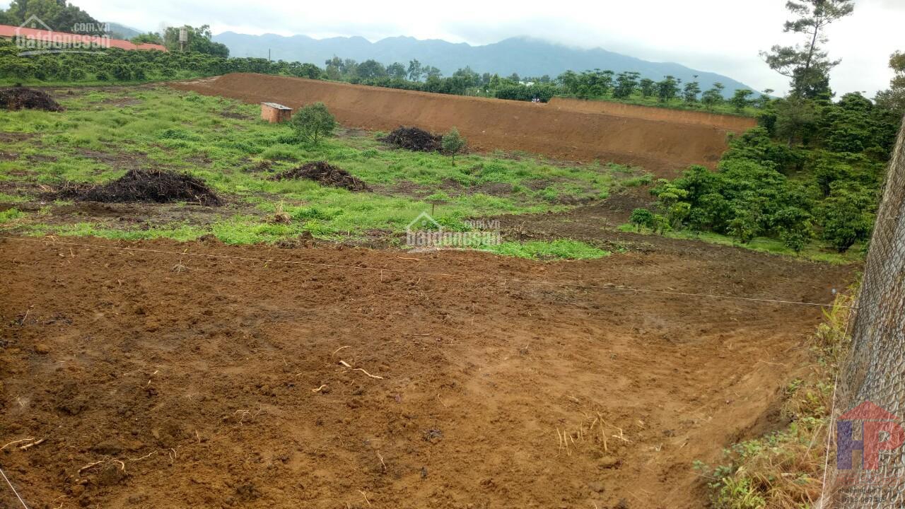 Bán đất view nghỉ đưỡng Đường Trần Quang Khải, Bảo Lộc, Lâm Đồng