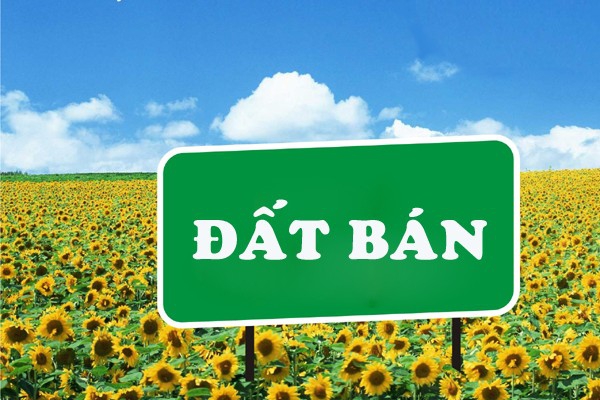 Bán nhà đất Khu vực khác